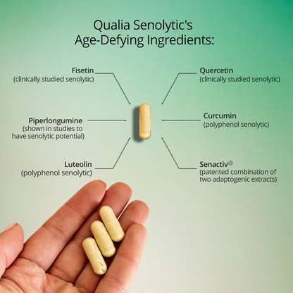 Qualia Senolytic