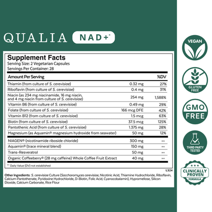 Qualia NAD+